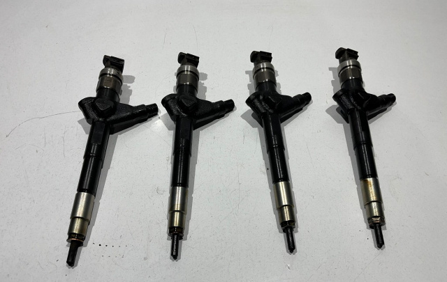 Injector 2.2dci 16600ES60A Nissan X-Trail T30 [facelift] [2003 - 2007]