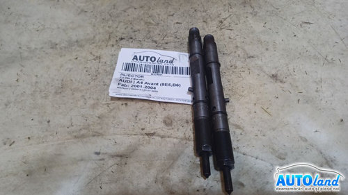 Injector 2.5 TDI 2 Bucati Audi A4 Avant 8E5,B6 2001-2004