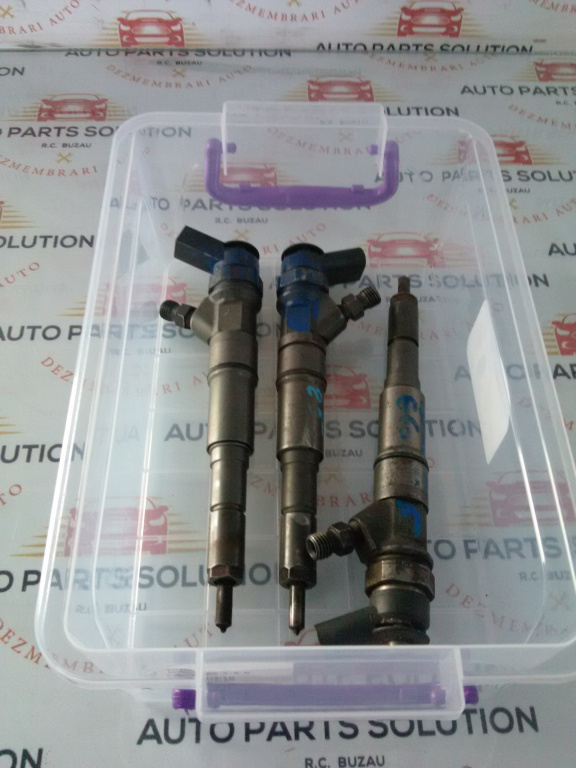 Injector (2 buc) BMW. E 60 2.5 D