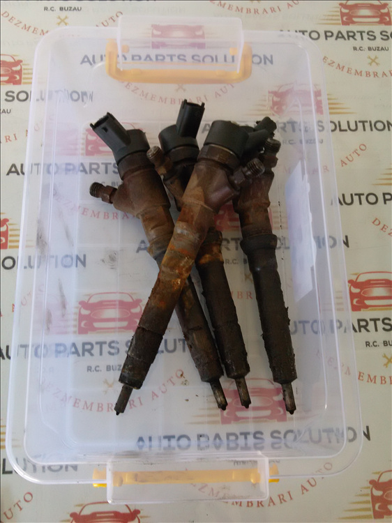 Injector (2 buc) FIAT DUCATO 3.0 D fab. 2009