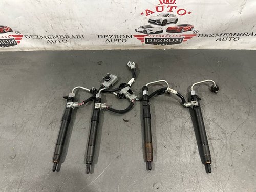 Injector 9686191080 Peugeot 308 I CC (4B) 2.0 HDi 163 cai RHH (DW10CTED4)