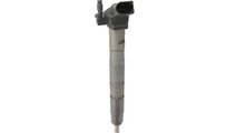 Injector AUDI A4 Cabriolet (8H7, B6, 8HE, B7) (200...