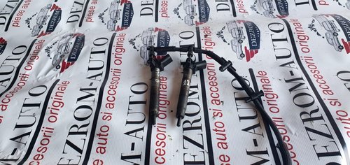 Injector BMW X1 (E84) xDrive23d 2.0 204 cp cod piesa : 0445117001