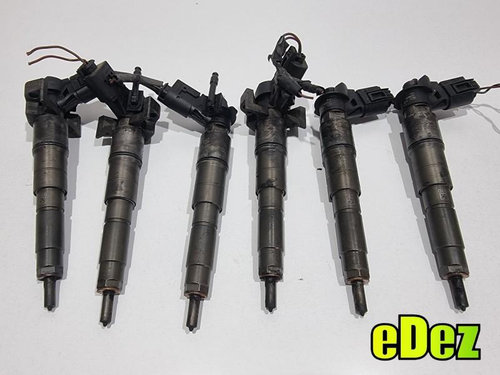 Injector BMW X6 (2008-2014) [E71, E72] 3.0 d M57 306d3 7792721