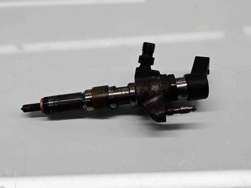 Injector Citroen C3 (II) [Fabr 2009-2016] 9802448680 1.6 TDCI T1DA 70KW / 95CP