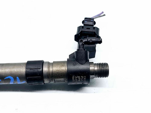 Injector Citroen C5 (III) [Fabr 2008-prezent] 9659228880 0445115025 2.2 HDI 4HT 125KW / 170CP