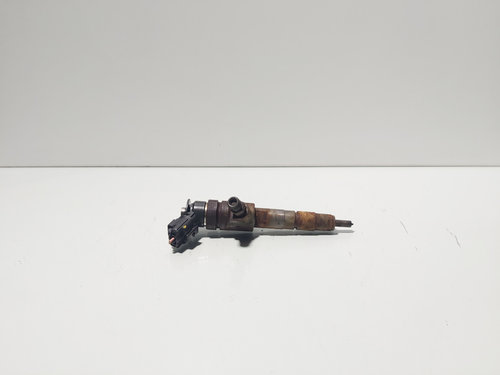 Injector, cod 0445110340, Citroen C3 (II), 1.6 HDI, 9H06 (idi:674428)