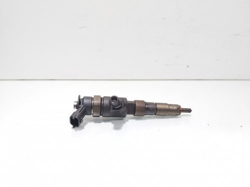 Injector, cod 0445110566, Citroen C3 Picasso, 1.6 HDI, BHY (idi:694540)
