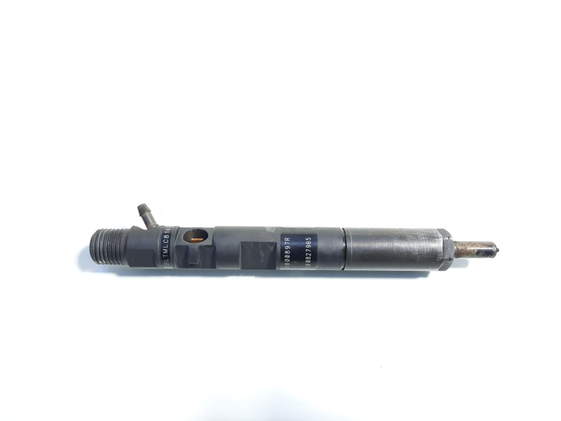 Injector, cod 166000897R, H8200827965, Renault Clio 3, 1.5 DCI, K9K770 (id:442449)