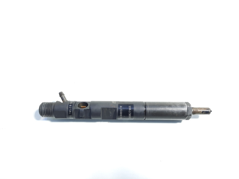 Injector, cod 166000897R, H8200827965, Renault Clio 3, 1.5 dci, K9K770 (id:441429)