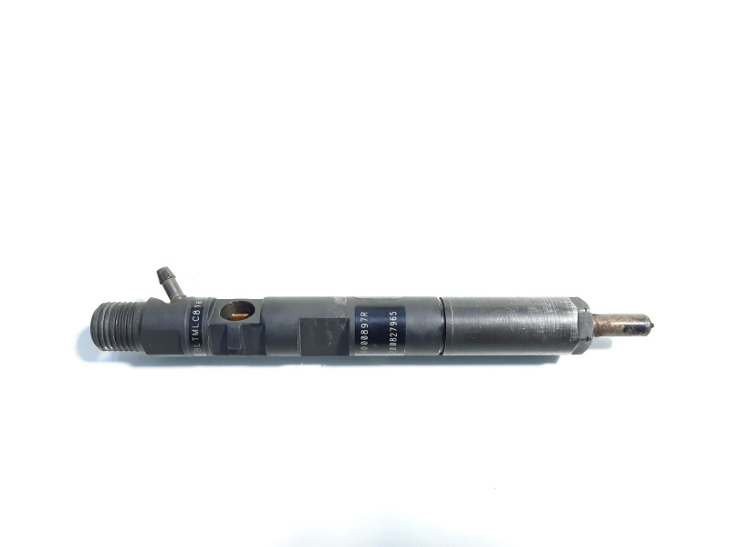 Injector, cod 166000897R, H8200827965, Renault Clio 3, 1.5 dci, K9K770 (id:442451)