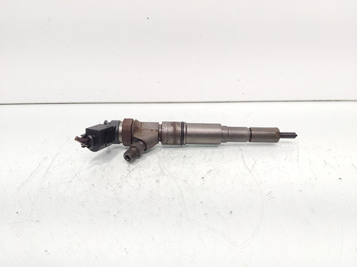 Injector, cod 7789661, 0445110131, Bmw 5 Touring (E61), 2.0 diesel, 204D4 (idi:690945)
