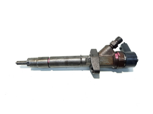 Injector, cod 8200084534, 0445110084, Renault Vel Satis 2.2 DCI, G9T702 (id:520191)