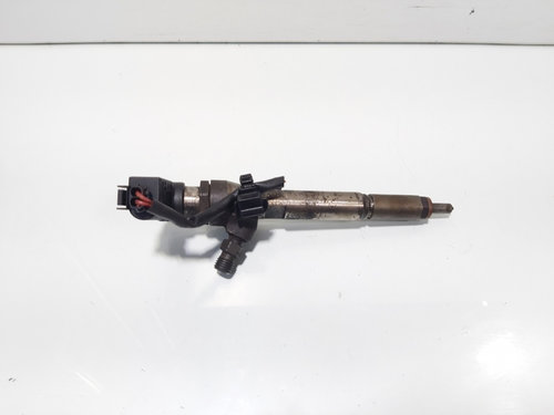 Injector, cod 8200294788, 166009445R, Renault Kangoo 2 Express, 1.5 DCI, K9K812 (idi:694547)