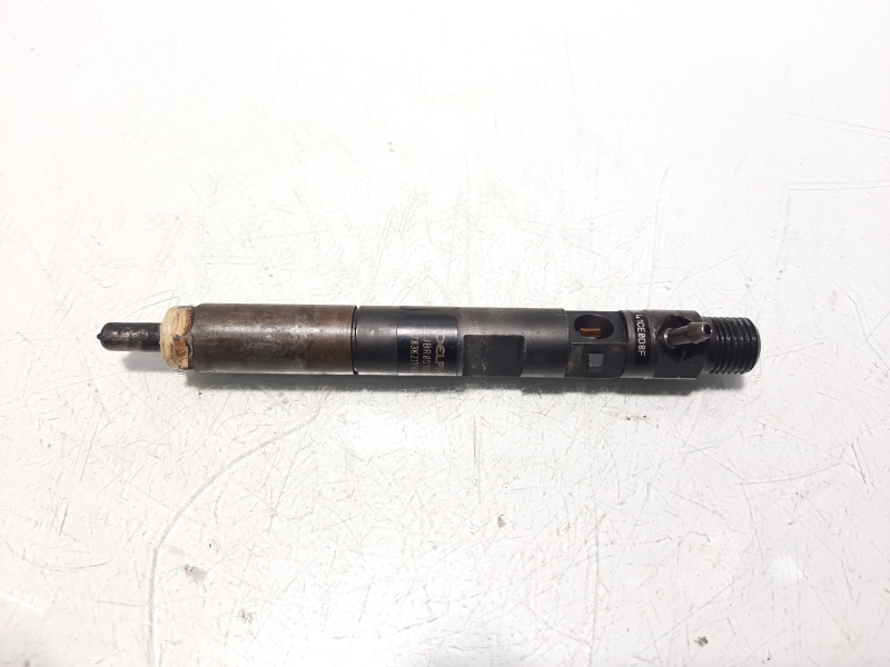 Injector, cod 8200676774, H8200421897, Renault Megane 2, 1.5 DCI, K9K, euro 4 (id:620631)