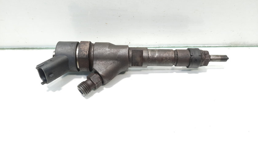 Injector, cod 9641742880, 0445110076, Peugeot 406, 2.0 HDI, RHZ (id:498993)