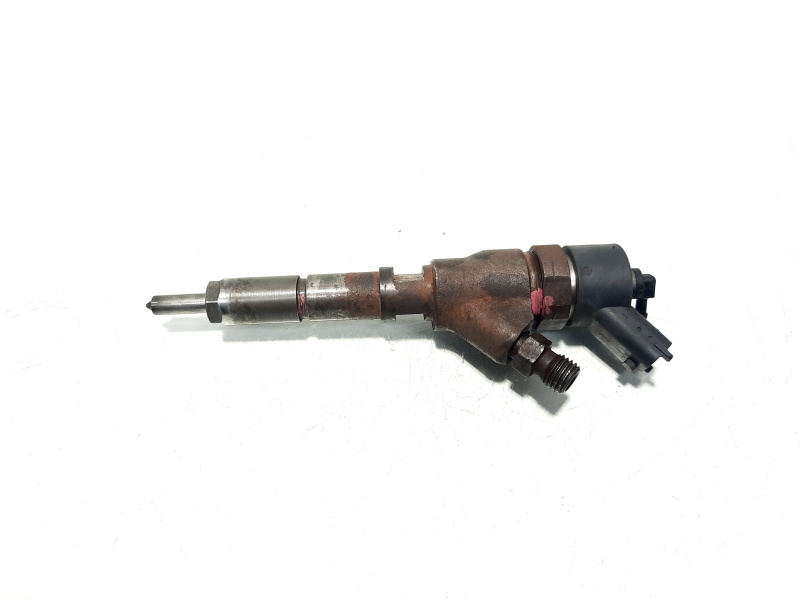 Injector, cod 9641742880, 0445110076, Peugeot 406, 2.0 hdi, RZH (id:460640)
