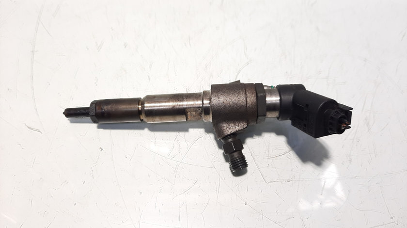 Injector, cod 9674973080, Ford Transit Connect (P65), 1.6 TDCI, UBGA (pr:110747)