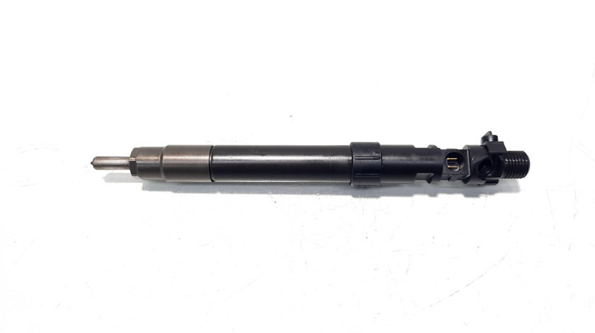 Injector, cod 9686191080, EMBR00101D, Citroen C5 (III), 2.0 HDI, RHH (idi:529998)