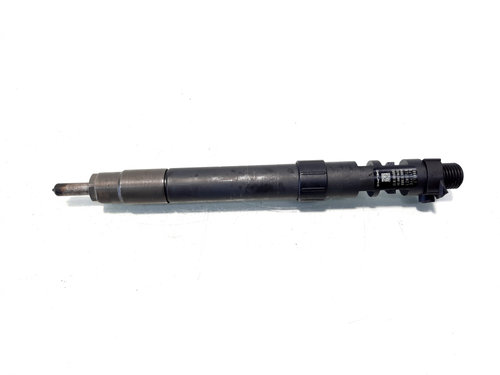 Injector, cod 9686191080, EMBR00101D, Citroen C8, 2.0 HDI, RHD (idi:546672)
