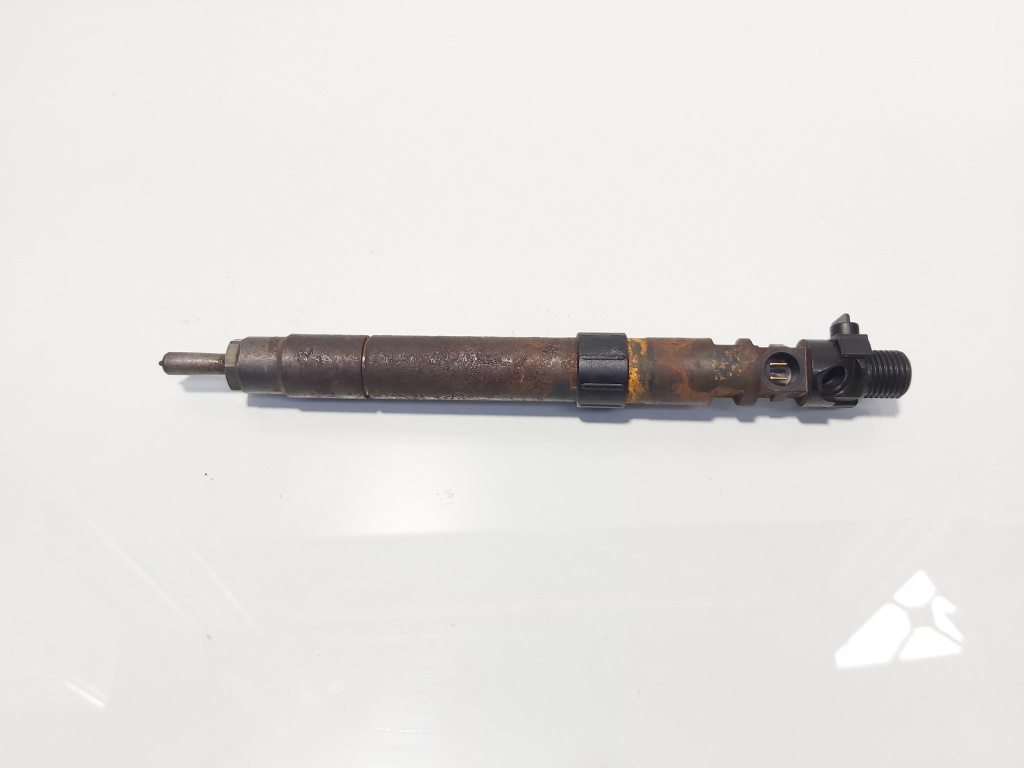 Injector, cod 9686191080, EMBR00101D, Ford Galaxy 2 2.0 TDCI, UFWA (id:693154)