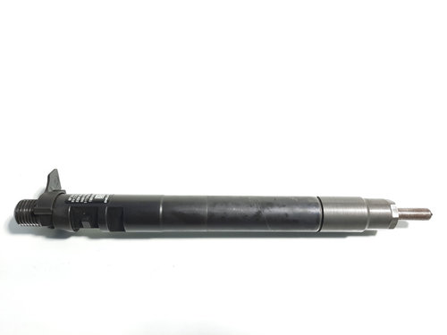 Injector, cod 9686191080, EMBR00101D, Ford Galaxy 2, 2.0 tdci, UFWA (pr:110747)