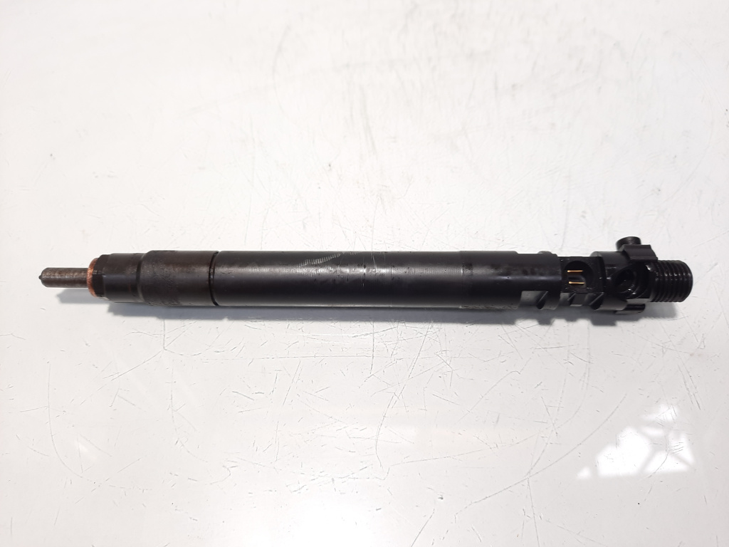 Injector, cod 9686191080, EMBR00101D, Ford Galaxy 2, 2.0 TDCI, UFWA (pr:110747)