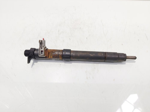 Injector, cod 9686191080, EMBR00101D, Ford Galaxy 2 2.0 TDCI, UFWA (id:686887)