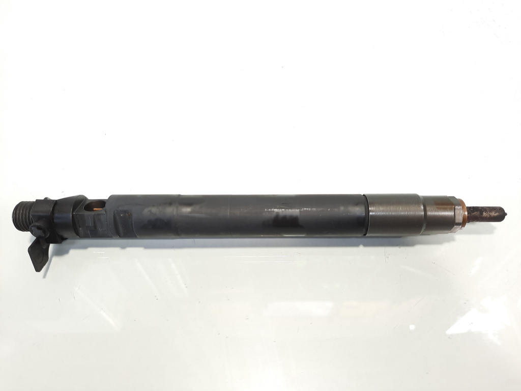 Injector, cod 9686191080, EMBR00101D, Ford Galaxy 2, 2.0 TDCI, UFWA (pr:110747)