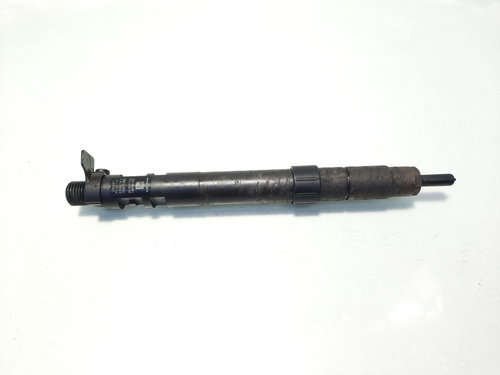 Injector, cod 9686191080, EMBR00101D, Ford Galaxy 2, 2.0 TDCI, UFWA (id:579492)