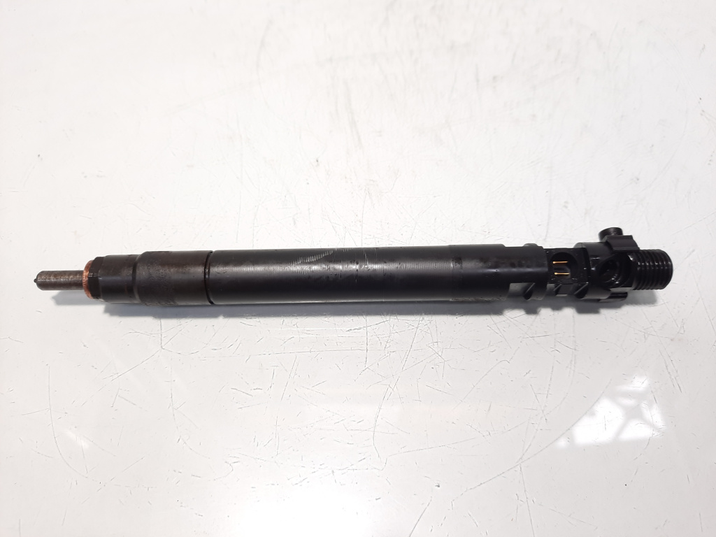 Injector, cod 9686191080, EMBR00101D, Ford Galaxy 2, 2.0 TDCI, UFWA (id:507069)