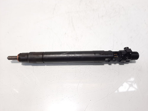 Injector, cod 9686191080, EMBR00101D, Ford Galaxy 2, 2.0 TDCI, UFWA (id:507069)
