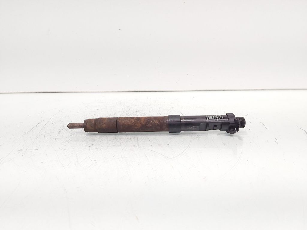 Injector, cod 9686191080, EMBR00101D, Ford Galaxy 2 2.0 TDCI, UFWA (id:692039)