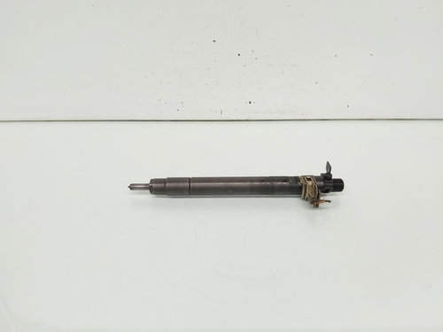 Injector, cod 9686191080, EMBR00101D, Ford Galaxy 2 2.0 TDCI, UFWA (id:661203)