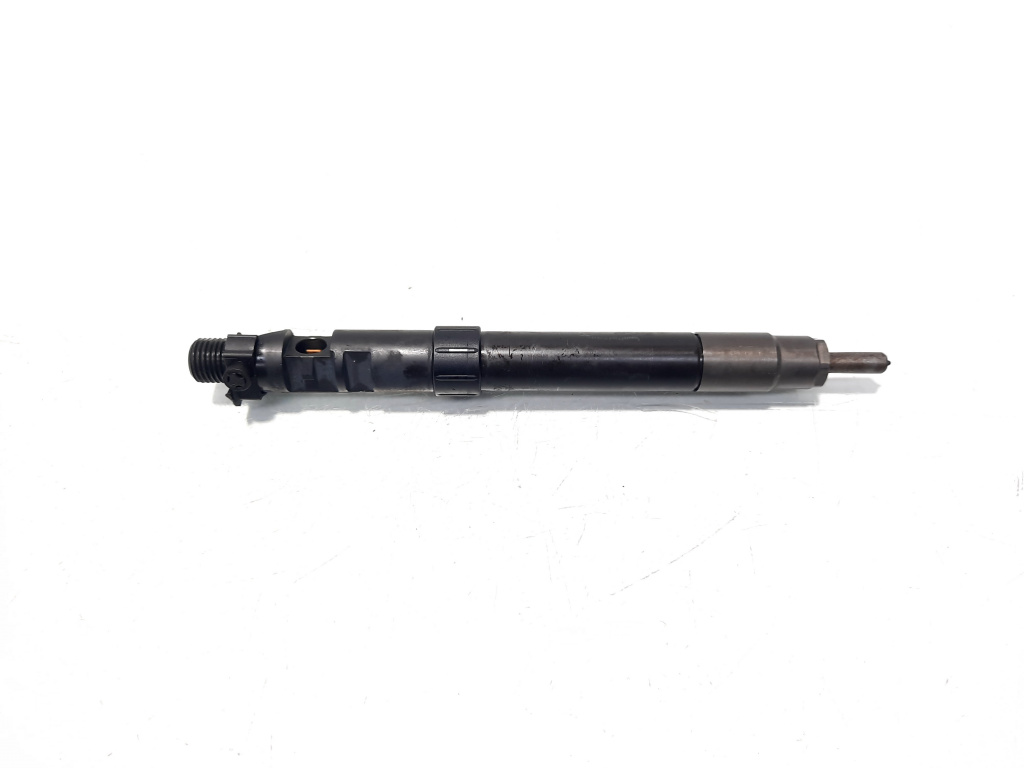 Injector, cod 9686191080, EMBR00101D, Ford Kuga I, 2.0 TDCI, TXDA (pr:110747)