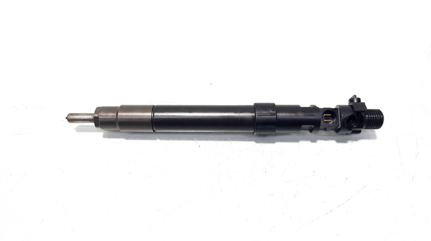 Injector, cod 9686191080, EMBR00101D, Ford Kuga I, 2.0 TDCI, TXDA (pr:110747)