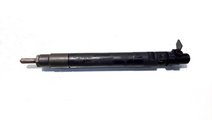 Injector, cod 9686191080, EMBR00101D, Ford Kuga I,...