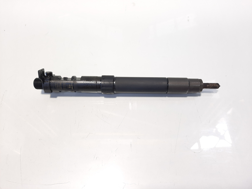 Injector, cod 9686191080, EMBR00101D, Peugeot 807, 2.0 hdi, RHH (idi:474466)