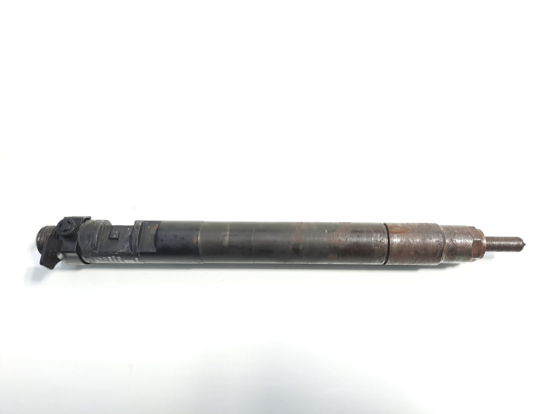 Injector, cod 9686191080, Ford S-Max 1, 2.0 TDCI (id:297560)