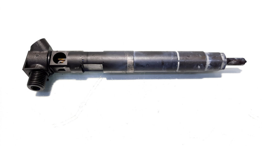 Injector, cod A6510700587, Mercedes Clasa C T-Model (S204), 2.2 CDI, OM651911 (idi:514763)