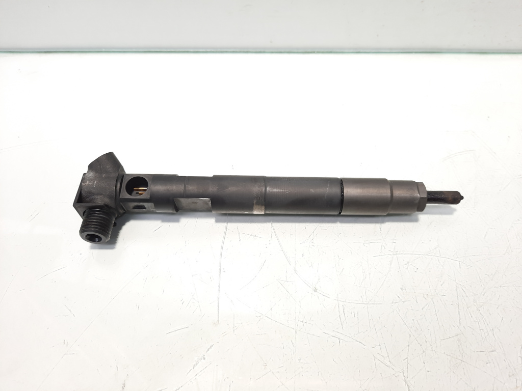 Injector, cod A6510700587, Mercedes Clasa E (W212) 2.2 CDI, OM651924 (id:468668)