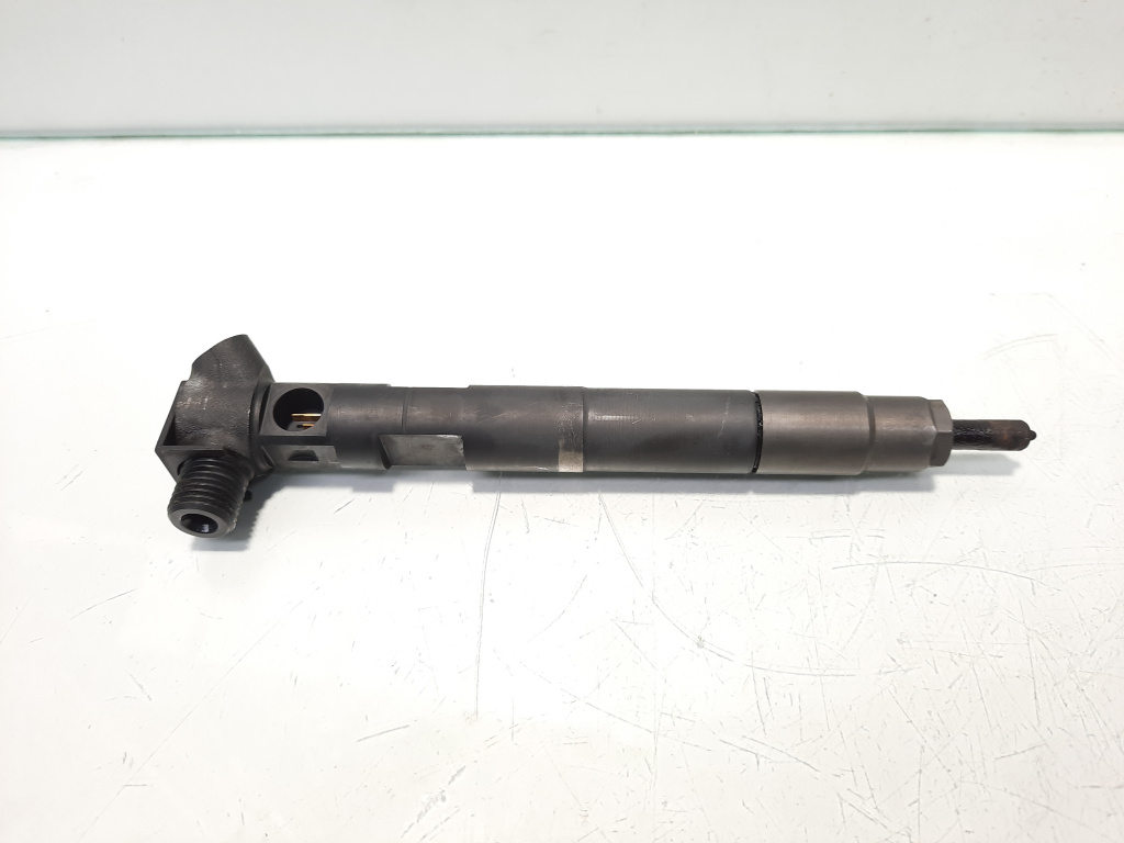 Injector, cod A6510700587, Mercedes Clasa E (W212) 2.2 CDI, OM651924 (id:468666)