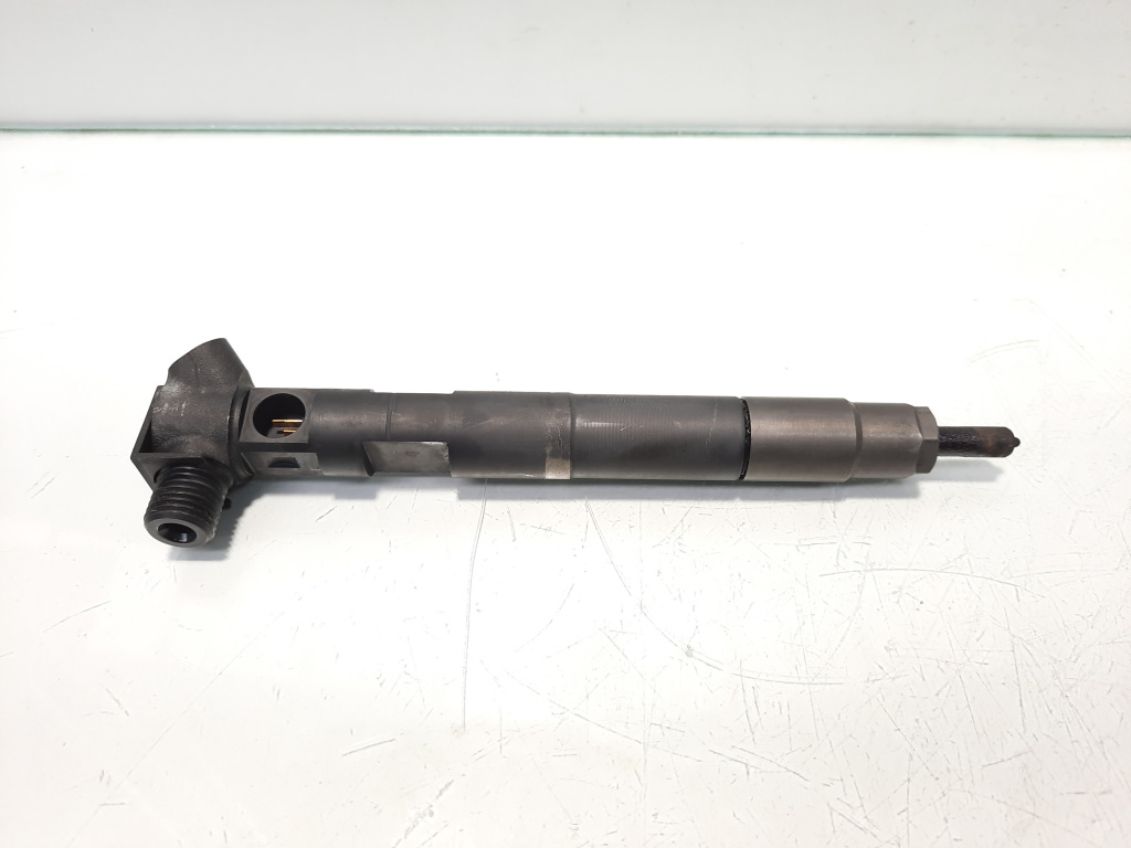 Injector, cod A6510700587, Mercedes Clasa E (W212) 2.2 CDI, OM651924 (id:468667)
