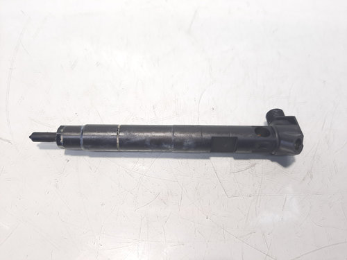 Injector, cod A6510704987, Mercedes Clasa E T-Model (S212), 2.2 CDI, OM651924 (idi:472231)