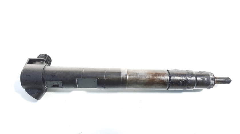 Injector, cod A6510704987, Mercedes Clasa E T-Model (S212), 2.2 CDI, OM651924