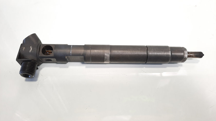 Injector, cod A6510704987, Mercedes Clasa E (W212) 2.2 CDI, OM651924 (id:479633)