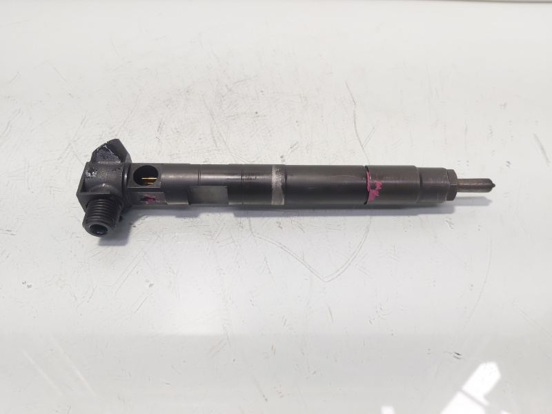 Injector, cod A6510704987, Mercedes Clasa E (W212) 2.2 cdi, OM651924 (id:472232)