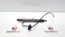 Injector cu fir, Audi A4 Avant (8ED, B7) 2.5 tdi, ...