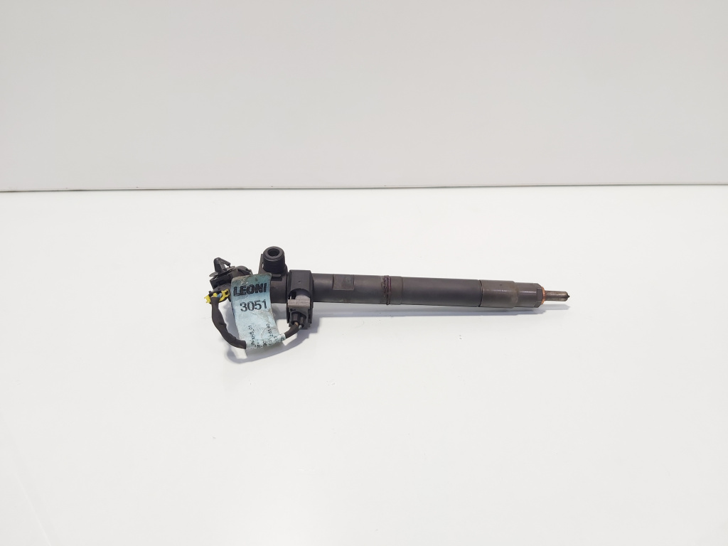 Injector Delphi, cod 28489548, Opel Antara 2.2 CDTI, A22DM (id:692653)