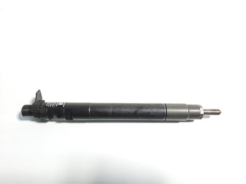Injector (Delphi) cod 9686191080, Ford Galaxy, 2.0tdci, TXWA